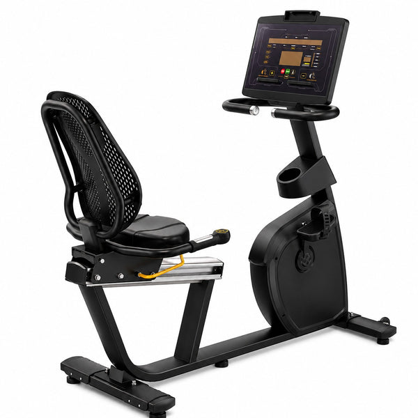 Insight Fitness Commercial Recumbent Bike RR5