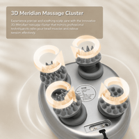 Clingy 3D Meridian Scalp Massager
