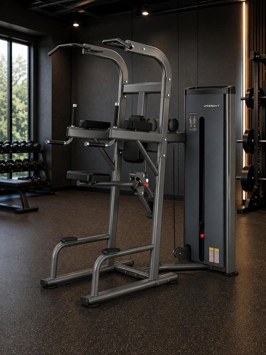 Insight Fitness Easy Chin/Dip