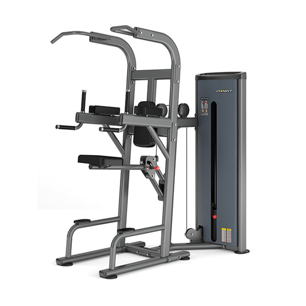 Insight Fitness Easy Chin/Dip