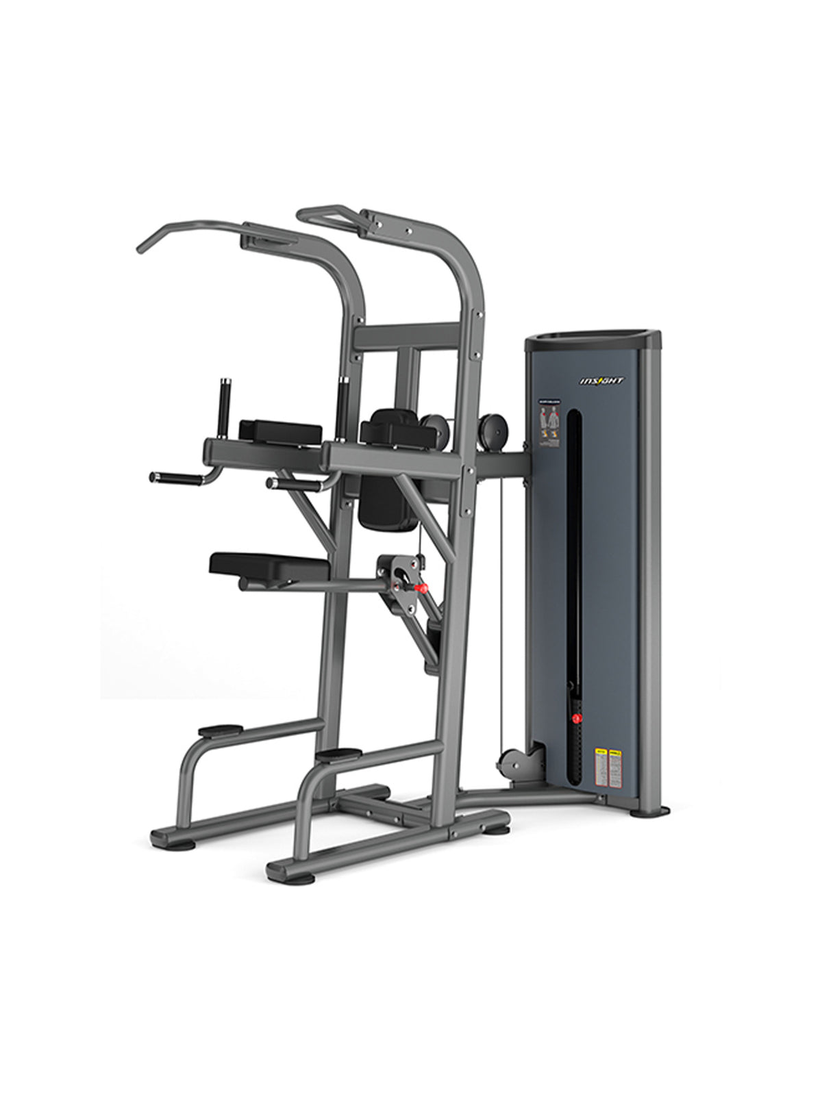 Insight Fitness Easy Chin/Dip
