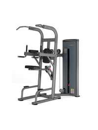 Insight Fitness Easy Chin/Dip