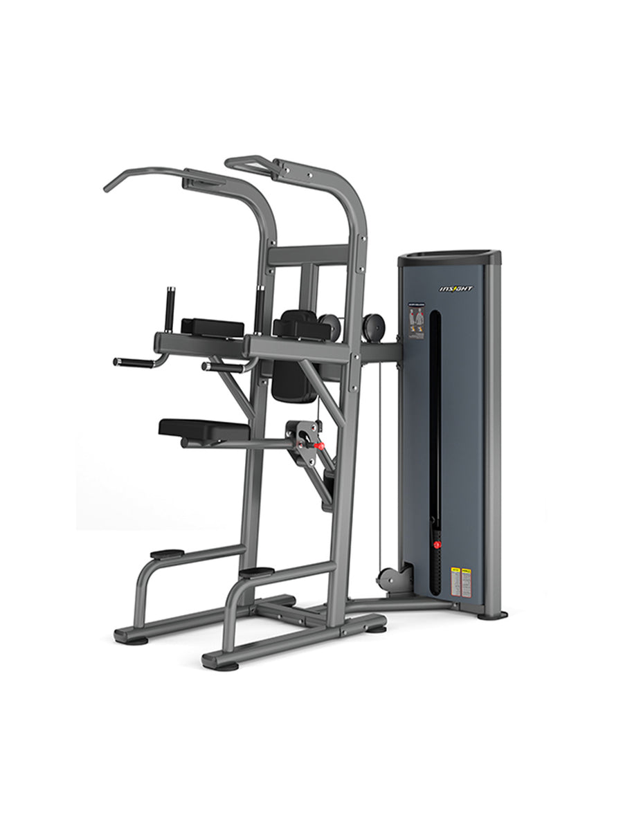 Insight Fitness Easy Chin/Dip