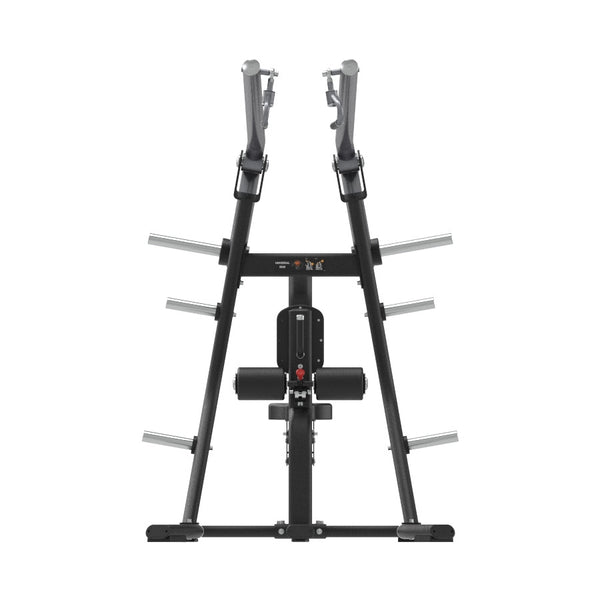 Insight Fitness Universal Pulldown