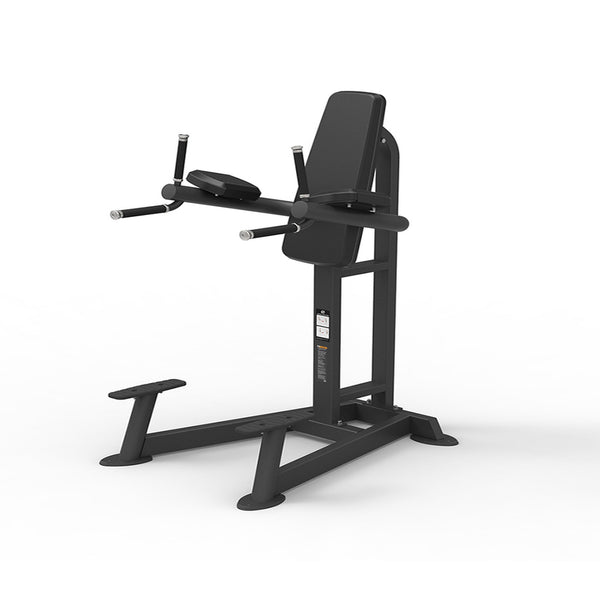Spirit Fitness Knee Lifting Machine