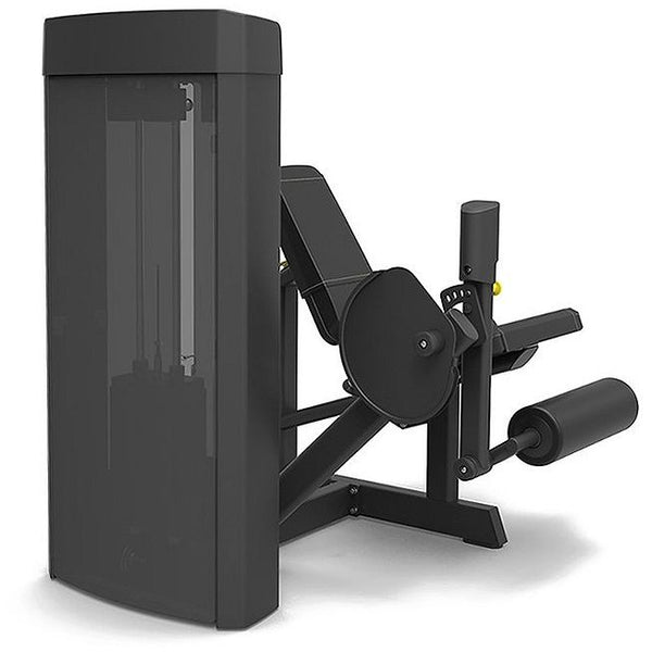 Spirit Fitness Leg Extension