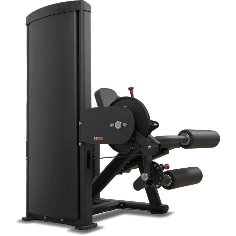 Insight Fitness Leg Curl & Extension Machine