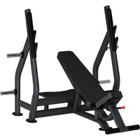 Insight Fitness Incline Olympic Bench