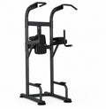 Insight Fitness Vertical Knee Raise & Dip Station