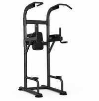 Insight Fitness Vertical Knee Raise & Dip Station