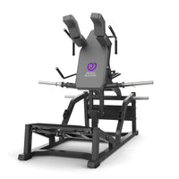 Insight Fitness V Squat