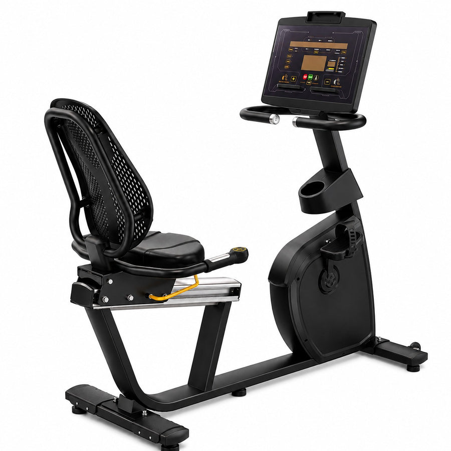 Insight Fitness Commercial Recumbent Bike RR5