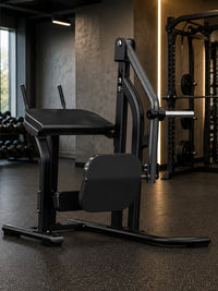 Insight Fitness Rear Kick