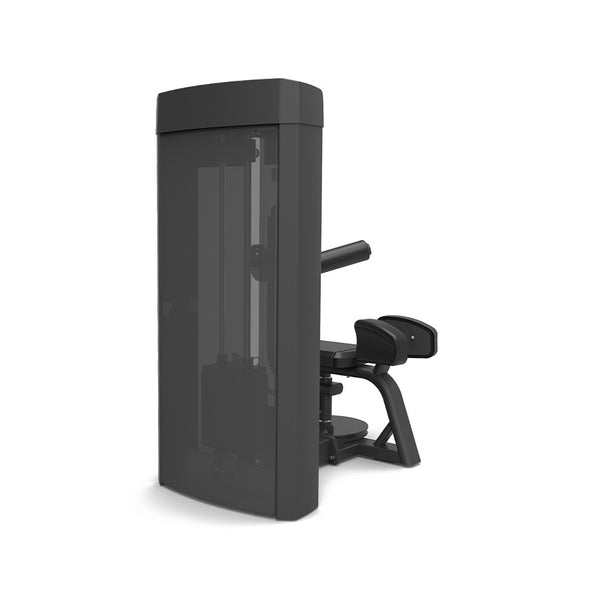 Spirit Fitness Torso Rotation