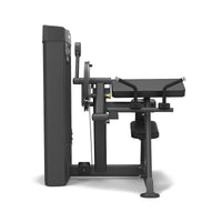Spirit Fitness Biceps Curl / Triceps Extension
